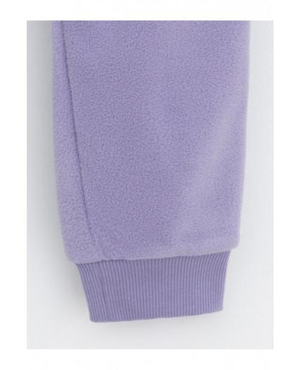 ФЛ 40006-1/6 ГР брюки