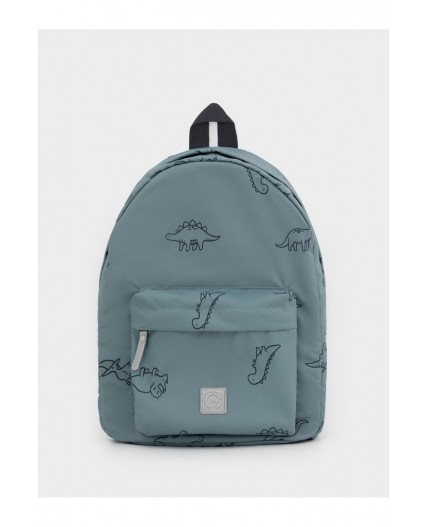 АКС 1001/179 ГР рюкзак