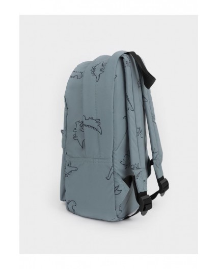 АКС 1001/179 ГР рюкзак