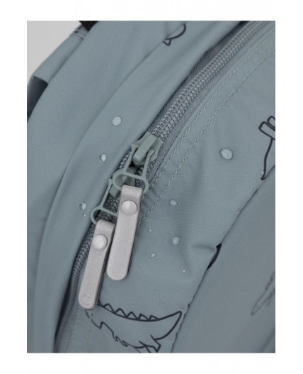 АКС 1001/179 ГР рюкзак