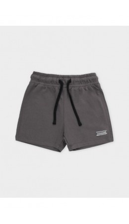 К 400817/антрацитовый 3900 шорты