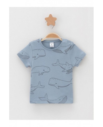 К 301156-2уп/большие,маленькие киты набор фуфайка (футболка)