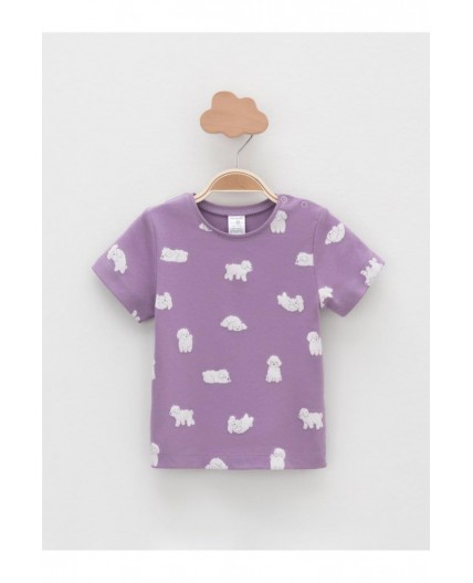 К 301156-2уп/молочный Н085.2,фиолетовый Н052.2 набор фуфайка (футболка)