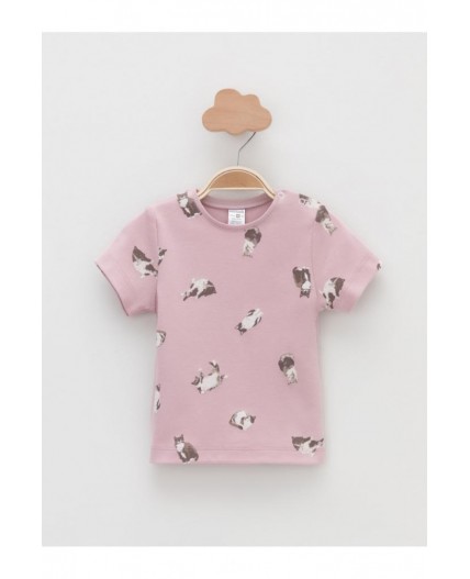 К 301156-2уп/розово-бежевый 2706 Н082 набор фуфайка (футболка)