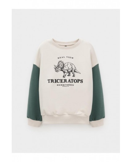 КР 302851/светло-бежевый 0783 к606 джемпер (свитшот)