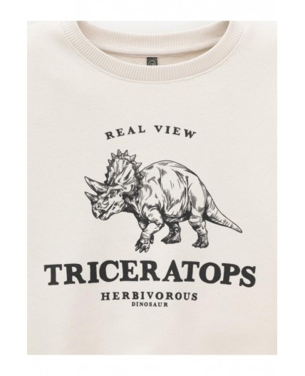 КР 302851/светло-бежевый 0783 к606 джемпер (свитшот)