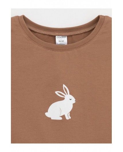 МП 1658-1/шоколадный 1230 Н111 пижама