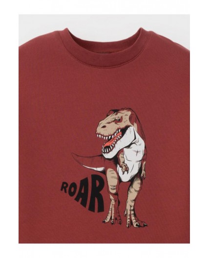 К 1567/терракотовый 1426 Н033 пижама