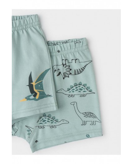 К 1930-2уп/голубой прибой,динозавры набор трусы