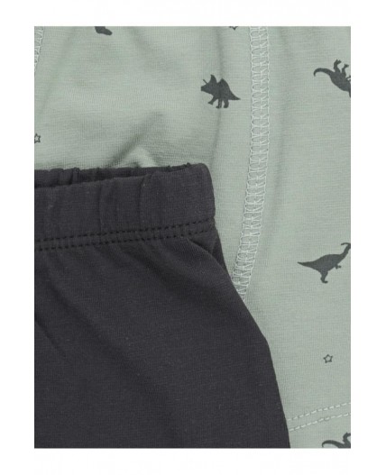 К 1912-2уп/темный графит,нефритовый,динозавры набор трусы