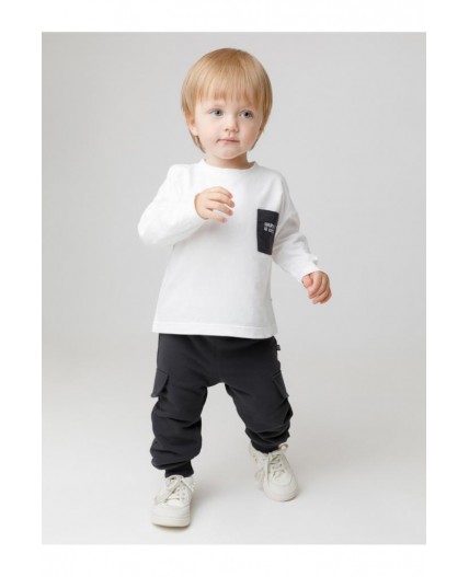 КР 400853/антрацитовый 3902 к598 брюки