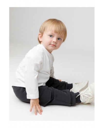 КР 400853/антрацитовый 3902 к598 брюки