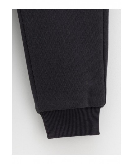 КР 400853/антрацитовый 3902 к598 брюки