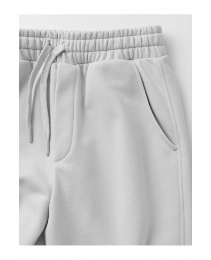 КБ 400893/светло-серый 4201 брюки