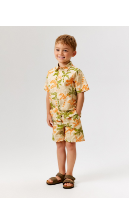 Шорты детские для мальчиков Bario sho бежевый принт