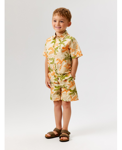 Шорты детские для мальчиков Bario sho бежевый принт