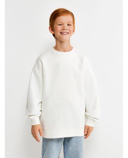 Джемпер детский для мальчиков Coconut_sw_b молочный