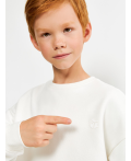 Джемпер детский для мальчиков Coconut_sw_b молочный