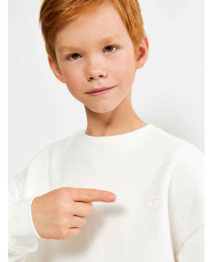 Джемпер детский для мальчиков Coconut_sw_b молочный