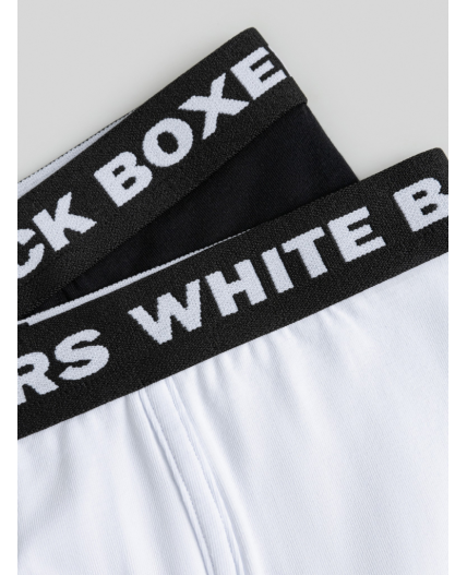 Трусы детские для мальчиков в наборе из 2 шт. Mike цвет в ассортименте