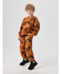 Брюки детские для мальчиков Polaris_pt терракот