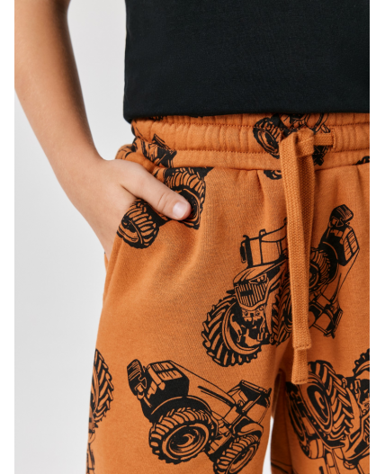 Брюки детские для мальчиков Polaris_pt терракот