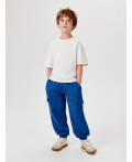 Брюки детские для мальчиков Ridder_pt васильковый