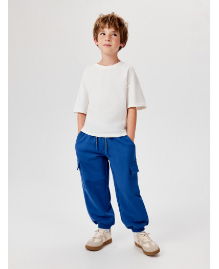 Брюки детские для мальчиков Ridder_pt васильковый