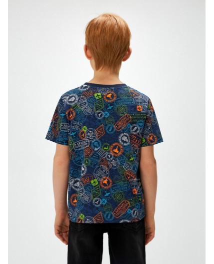 Футболка детская для мальчиков Denmark набивка