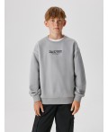 Джемпер детский для мальчиков Apollion серый