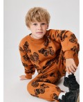 Джемпер детский для мальчиков Polaris терракот