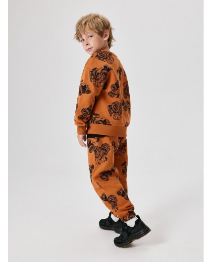 Джемпер детский для мальчиков Polaris терракот