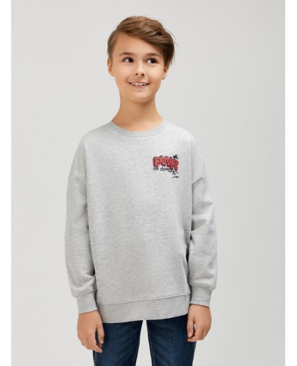 Джемпер детский для мальчиков Jiri серый меланж