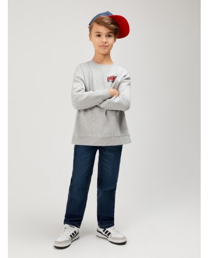 Джемпер детский для мальчиков Jiri серый меланж