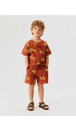 Набор детский для мальчиков ((1)футболка и (2)шорты) Hoste_set горчичный