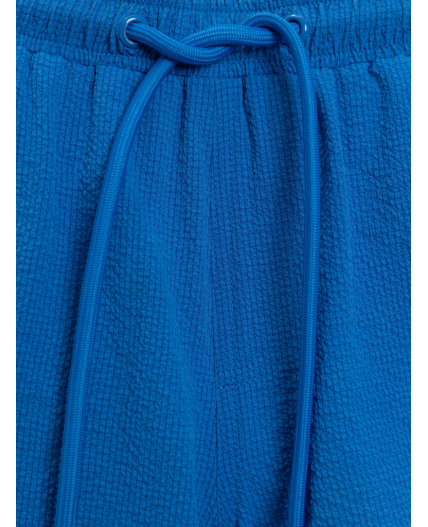 Шорты купальные детские для мальчиков Bieno синий