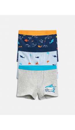 Трусы детские для мальчиков в наборе из 3 шт. Bahman разноцветный