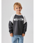 Джемпер детский для мальчиков Richards пепельно-серый