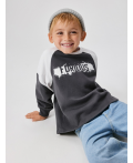 Джемпер детский для мальчиков Richards пепельно-серый