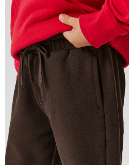 Брюки детские для мальчиков Sham_pt шоколадный