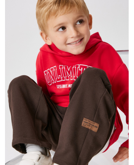 Брюки детские для мальчиков Sham_pt шоколадный