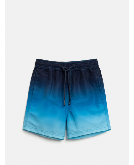 Шорты купальные детские для мальчиков Bizo синий принт