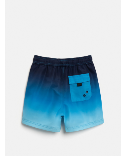 Шорты купальные детские для мальчиков Bizo синий принт