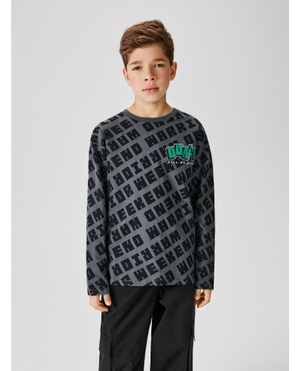 Джемпер детский для мальчиков Geol темно-серый принт