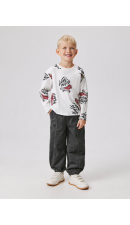 Брюки на подкладке детские для мальчиков Vetlug темно-серый