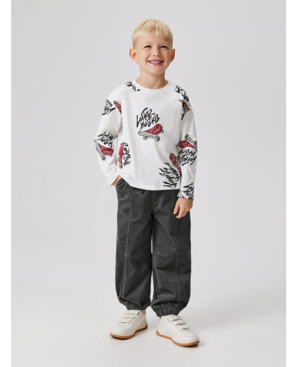 Брюки на подкладке детские для мальчиков Vetlug темно-серый