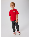 Футболка детская для мальчиков Claus красный