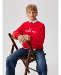Джемпер детский для мальчиков Gryla красный