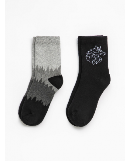 Носки детские в наборе из 2 пар Lotso цвет в ассортименте