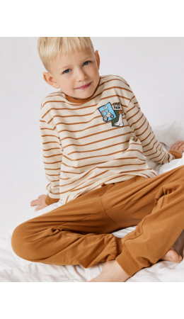 Набор детский для мальчиков ((1)джемпер и (2)брюки) Lich бежевый